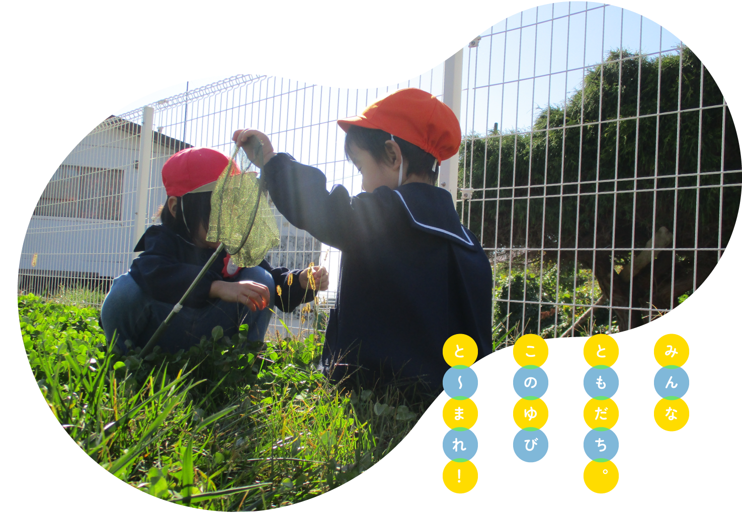 函館大谷短期大学附属松前認定こども園