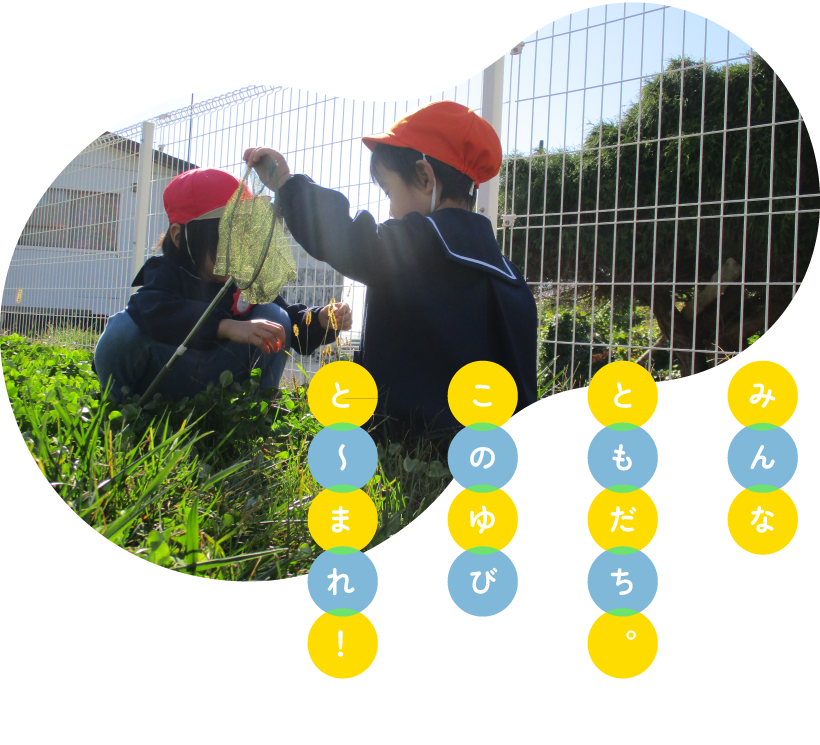 函館大谷短期大学附属松前認定こども園